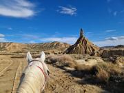 IMG-20240326-WA0055