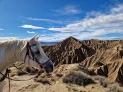 IMG-20240326-WA0058