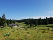 IMG-20190707-WA0045