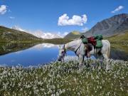 IMG-20240326-WA0028