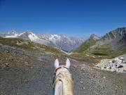 IMG-20240326-WA0031