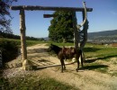 img00280 20110930