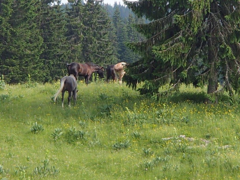 p7101157