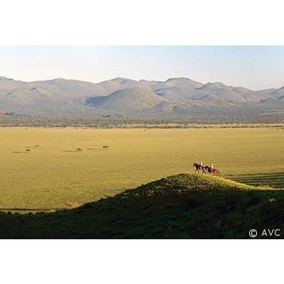 kenyaamboseli avc