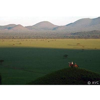 kenyaamboseli avc